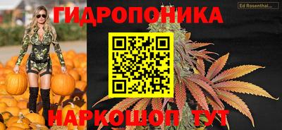 крисы Бузулук