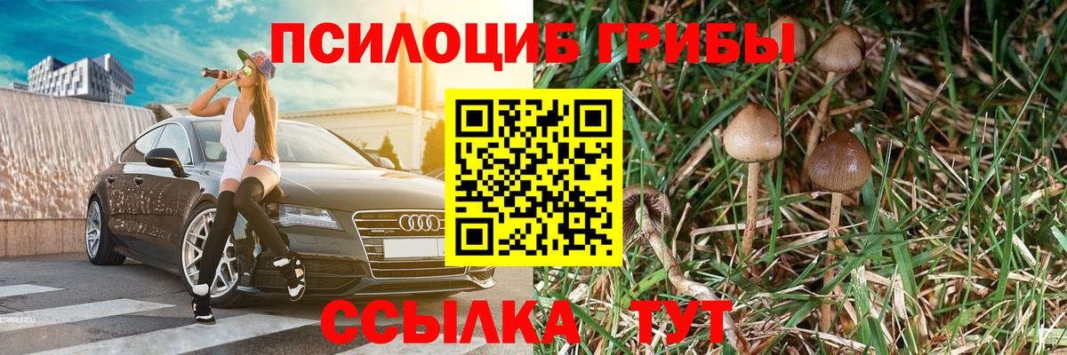 Куйбышев  Галлюциногенные грибы Magic Shrooms  Галлюциногенные грибы Magic Shrooms  Вход с VPN 
