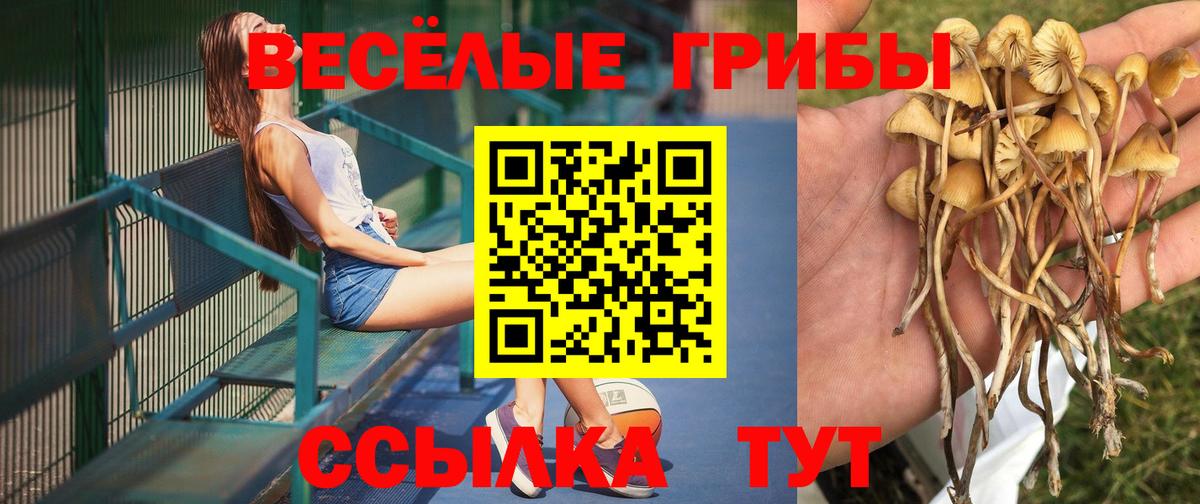 Галлюциногенные грибы MAGIC MUSHROOMS Куйбышев